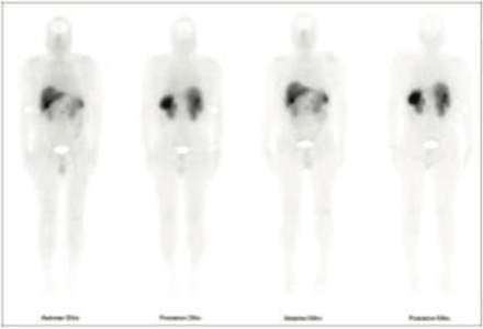 Endocrinology