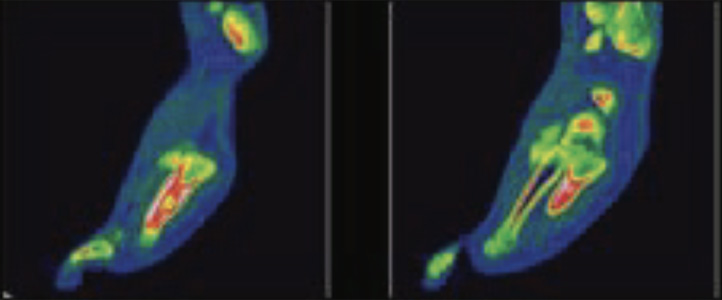 Orthopaedic