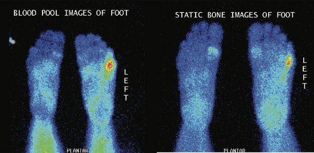 Orthopaedic