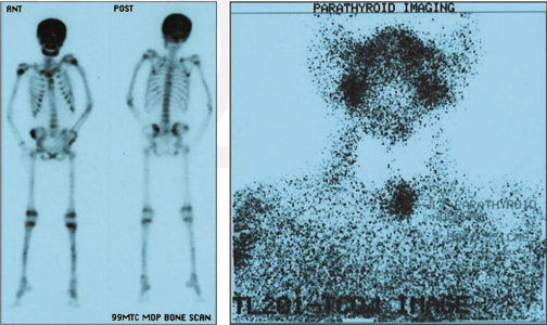 Orthopaedic