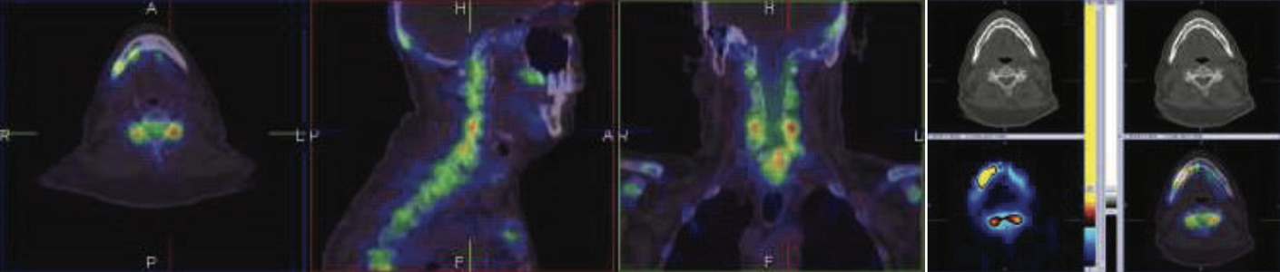 Orthopaedic