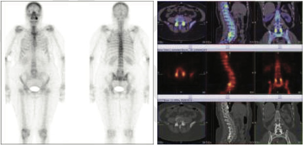 Orthopaedic