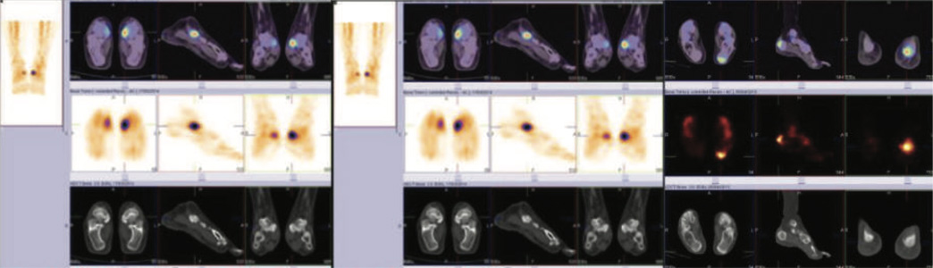 Orthopaedic