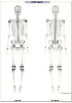 Orthopaedic